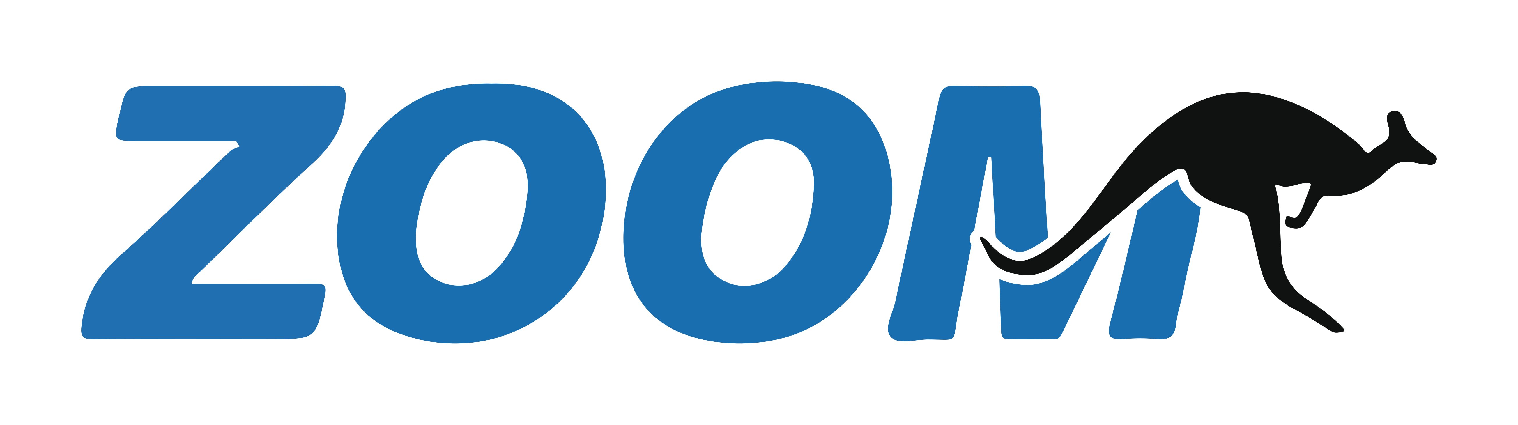 ZOOM